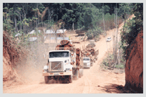 Transporte de caminhão